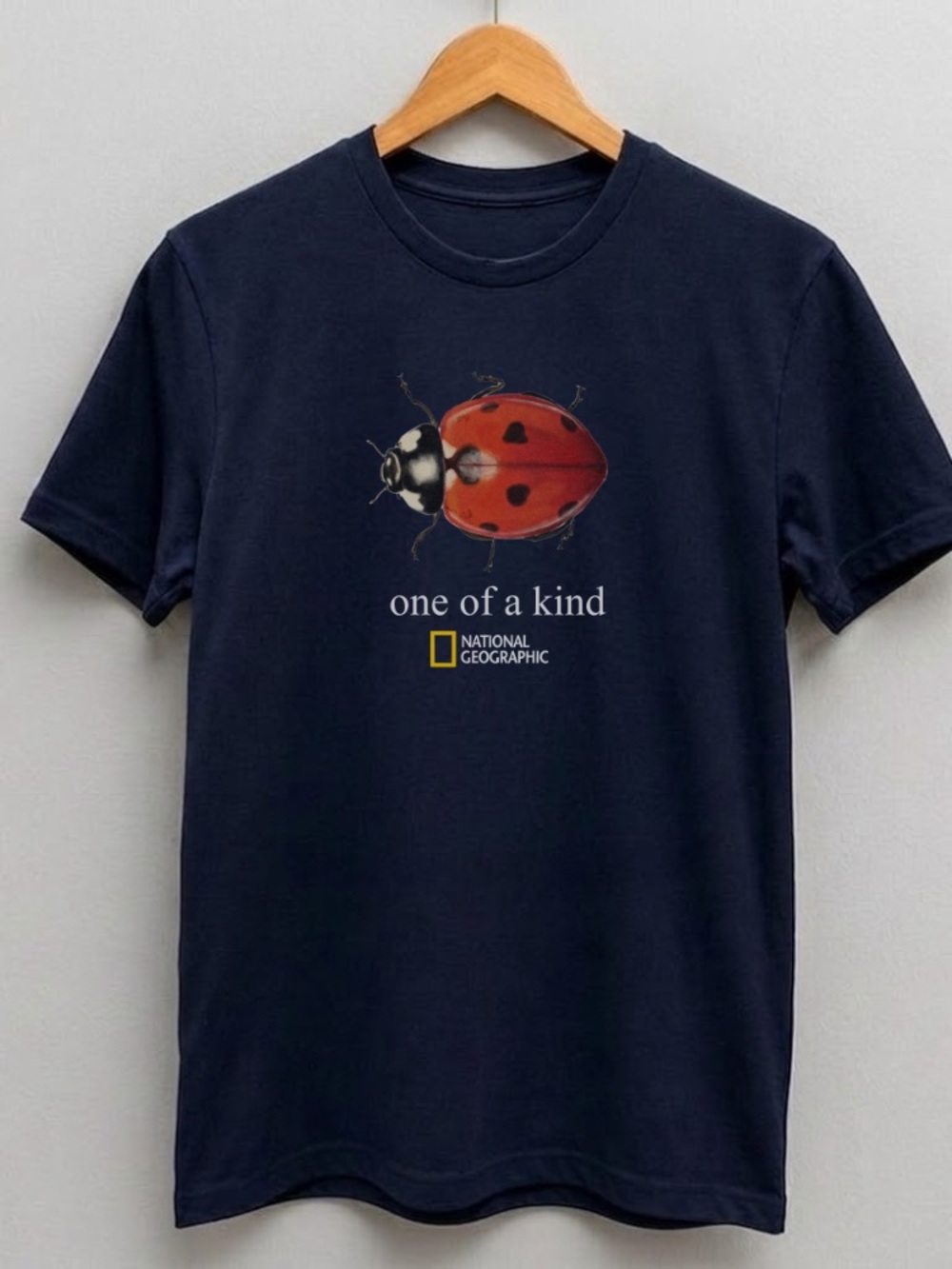 Ladybug National Geographic One of a kind Nature CottagecoreGraphic tee -Gildan